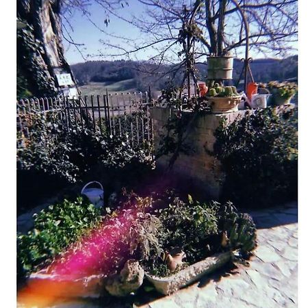 Apartmán La Casina Di Ancicucco 1 San Gimignano Exteriér fotografie