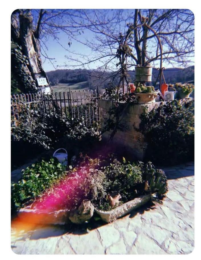 Apartmán La Casina Di Ancicucco 1 San Gimignano Exteriér fotografie